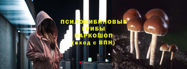 гашик Арсеньев