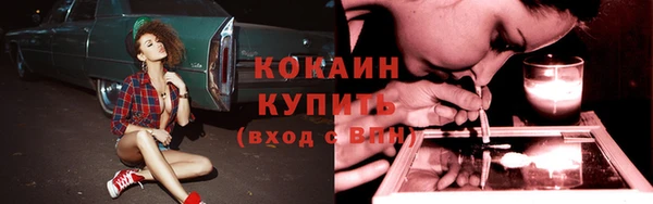 крисы Армянск