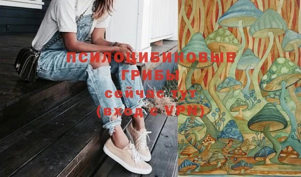 крисы Армянск