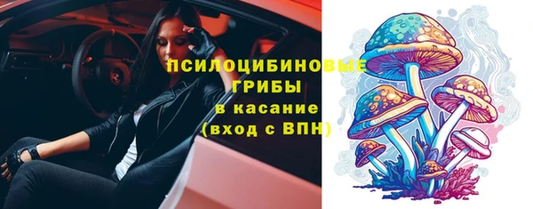 МДПВ Дрезна