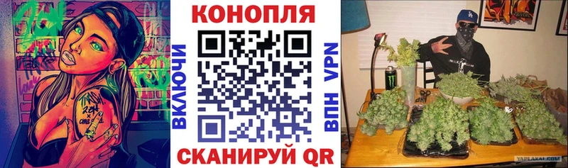 Бошки Шишки марихуана  хочу   Колпашево 
